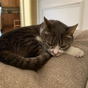 Meet your Posher, Gigi